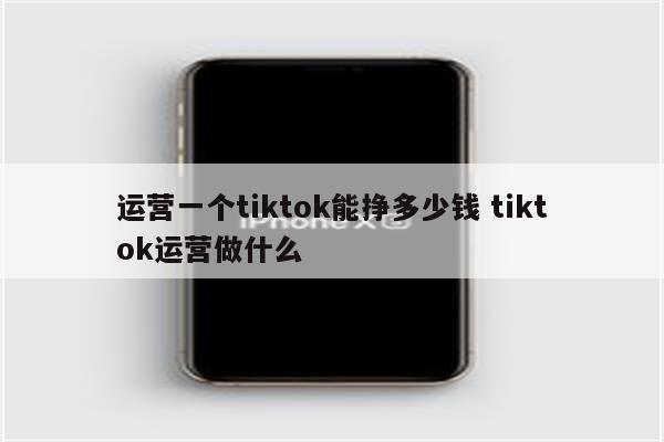 运营一个tiktok能挣多少钱 tiktok运营做什么