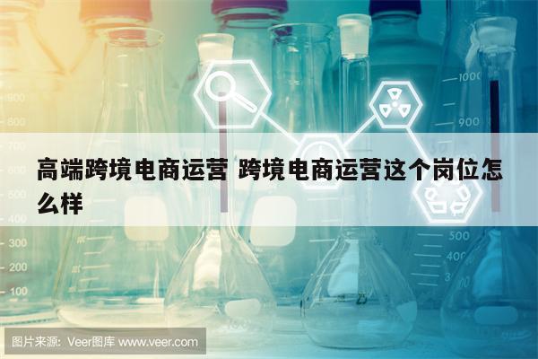 高端跨境电商运营 跨境电商运营这个岗位怎么样