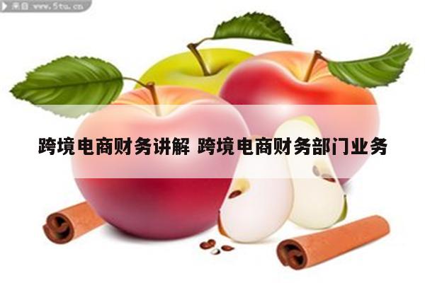 跨境电商财务讲解 跨境电商财务部门业务