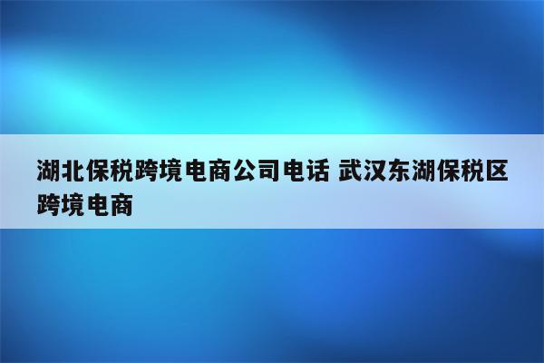 湖北保税跨境电商公司电话 武汉东湖保税区跨境电商
