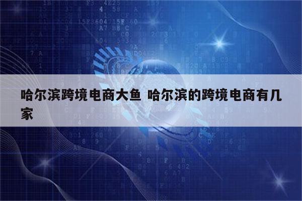 哈尔滨跨境电商大鱼 哈尔滨的跨境电商有几家
