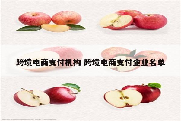跨境电商支付机构 跨境电商支付企业名单
