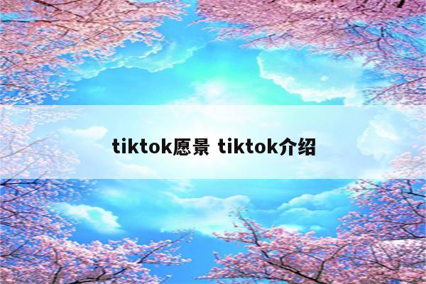 tiktok愿景 tiktok介绍