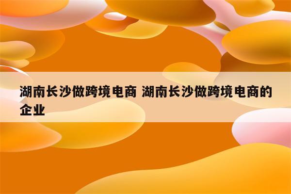 湖南长沙做跨境电商 湖南长沙做跨境电商的企业
