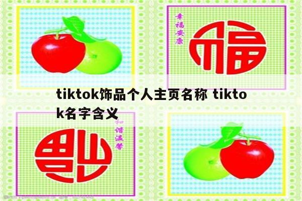tiktok饰品个人主页名称 tiktok名字含义