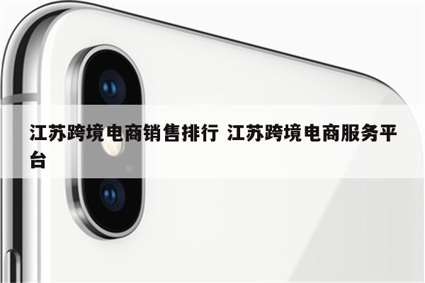 江苏跨境电商销售排行 江苏跨境电商服务平台
