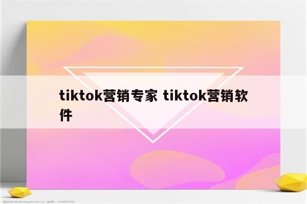 tiktok营销专家 tiktok营销软件