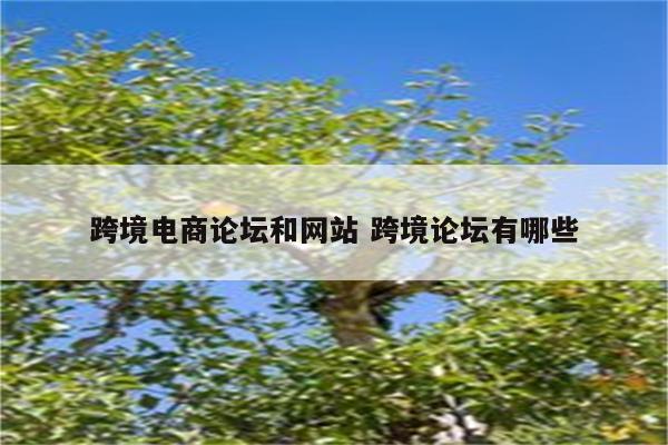 跨境电商论坛和网站 跨境论坛有哪些