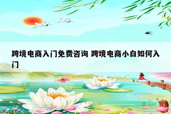 跨境电商入门免费咨询 跨境电商小白如何入门