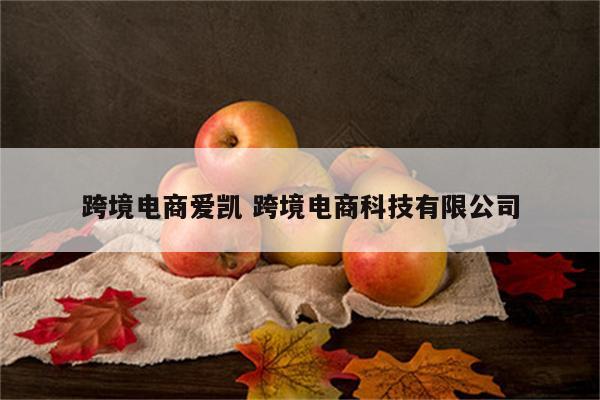 跨境电商爱凯 跨境电商科技有限公司
