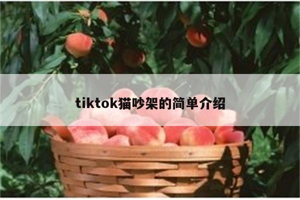 tiktok猫吵架的简单介绍