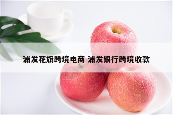 浦发花旗跨境电商 浦发银行跨境收款