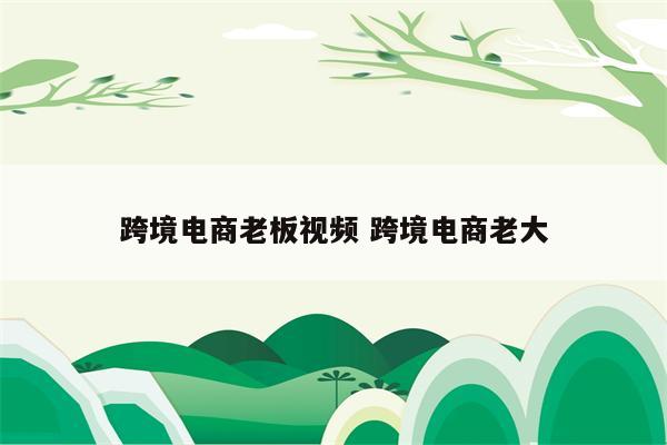 跨境电商老板视频 跨境电商老大