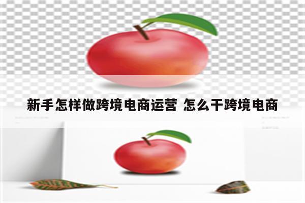 新手怎样做跨境电商运营 怎么干跨境电商