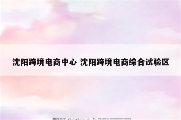 沈阳跨境电商中心 沈阳跨境电商综合试验区