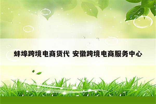 蚌埠跨境电商货代 安徽跨境电商服务中心
