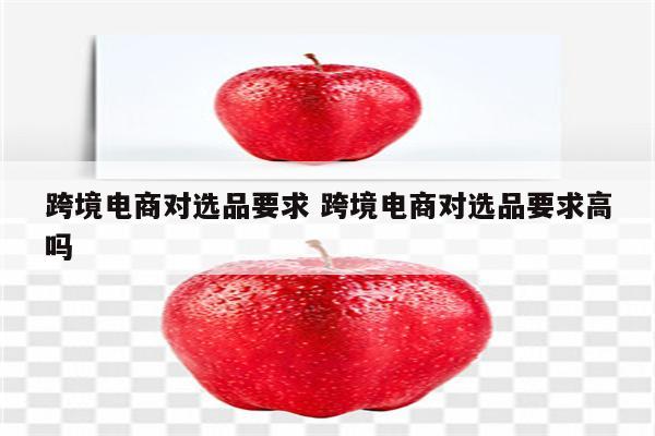 跨境电商对选品要求 跨境电商对选品要求高吗
