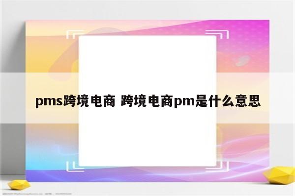 pms跨境电商 跨境电商pm是什么意思