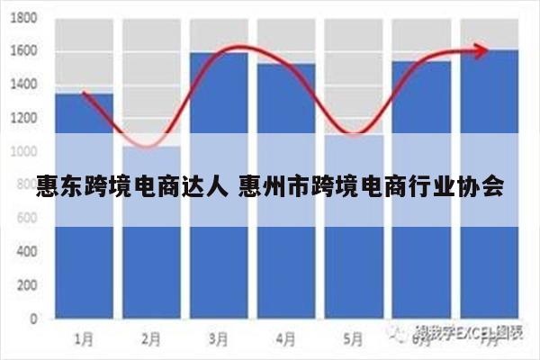 惠东跨境电商达人 惠州市跨境电商行业协会