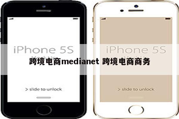 跨境电商medianet 跨境电商商务