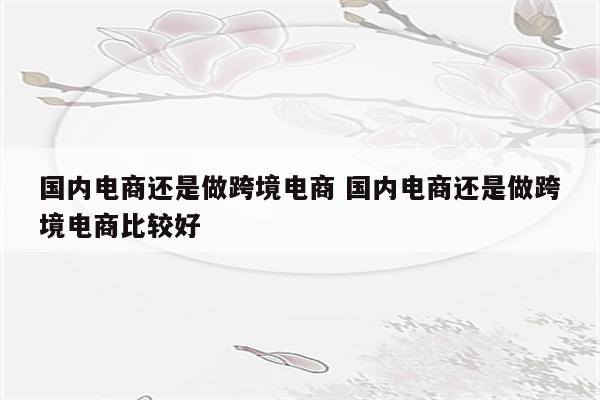 国内电商还是做跨境电商 国内电商还是做跨境电商比较好