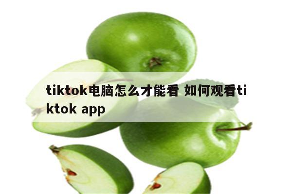 tiktok电脑怎么才能看 如何观看tiktok app