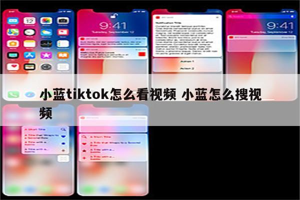 小蓝tiktok怎么看视频 小蓝怎么搜视频