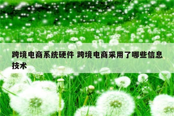 跨境电商系统硬件 跨境电商采用了哪些信息技术