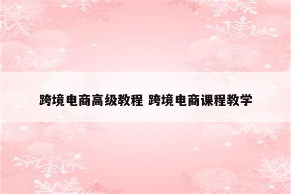 跨境电商高级教程 跨境电商课程教学