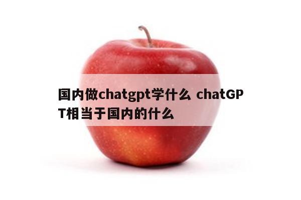 国内做chatgpt学什么 chatGPT相当于国内的什么
