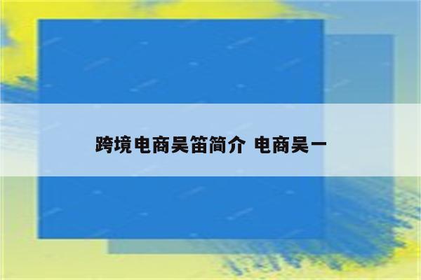 跨境电商吴笛简介 电商吴一