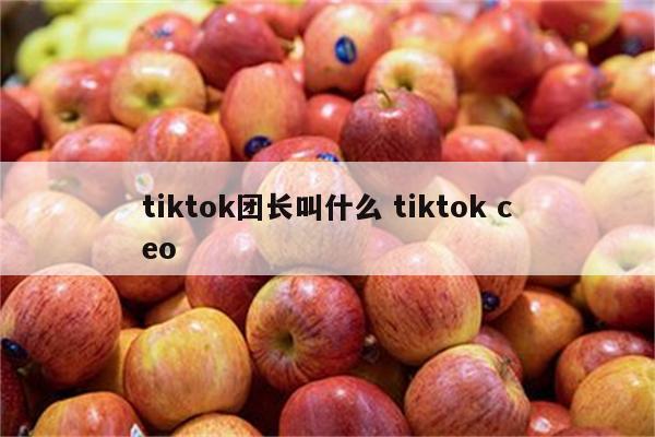 tiktok团长叫什么 tiktok ceo