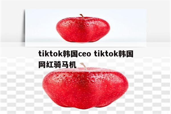 tiktok韩国ceo tiktok韩国网红骑马机