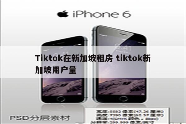 Tiktok在新加坡租房 tiktok新加坡用户量