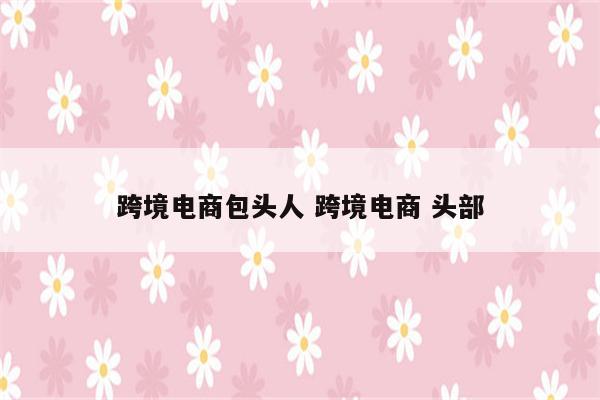 跨境电商包头人 跨境电商 头部