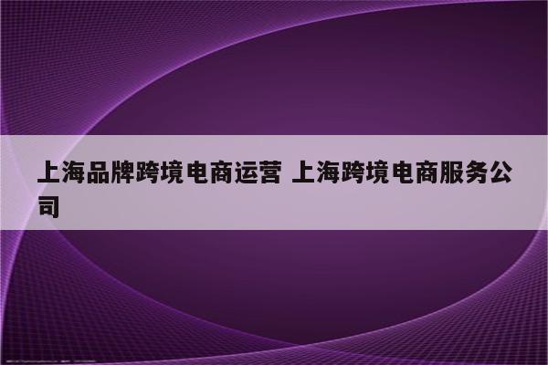 上海品牌跨境电商运营 上海跨境电商服务公司