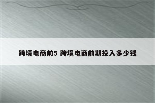 跨境电商前5 跨境电商前期投入多少钱