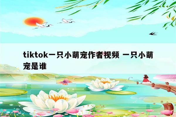 tiktok一只小萌宠作者视频 一只小萌宠是谁