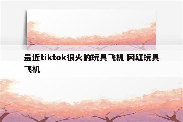 最近tiktok很火的玩具飞机 网红玩具飞机