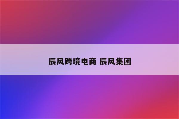 辰风跨境电商 辰风集团