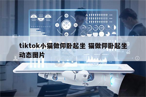 tiktok小猫做仰卧起坐 猫做仰卧起坐动态图片