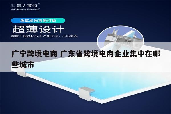 广宁跨境电商 广东省跨境电商企业集中在哪些城市