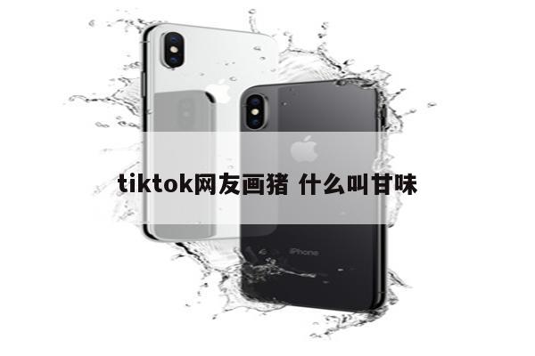 tiktok网友画猪 什么叫甘味