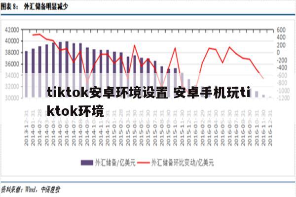 tiktok安卓环境设置 安卓手机玩tiktok环境