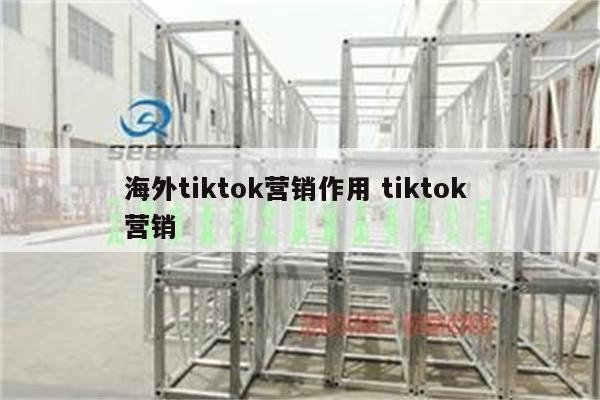 海外tiktok营销作用 tiktok 营销