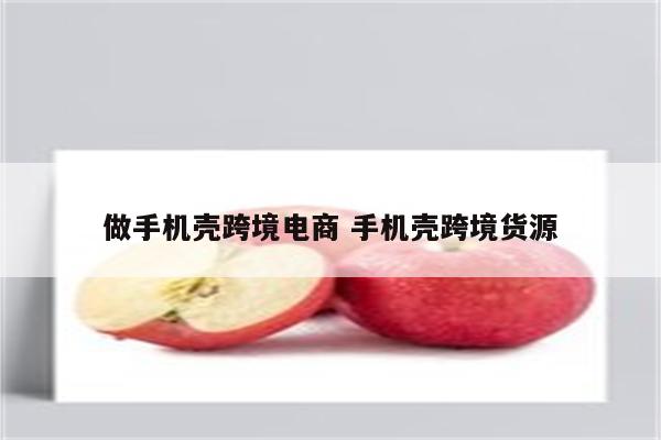 做手机壳跨境电商 手机壳跨境货源