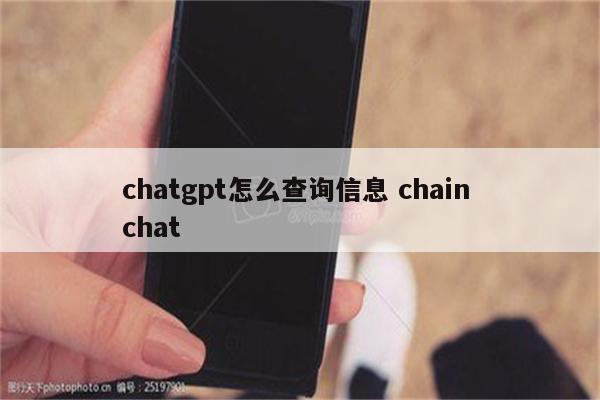 chatgpt怎么查询信息 chain chat