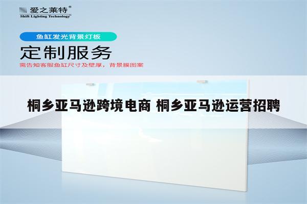 桐乡亚马逊跨境电商 桐乡亚马逊运营招聘