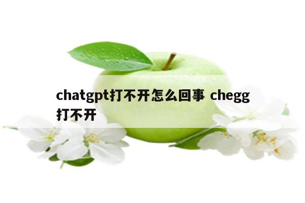 chatgpt打不开怎么回事 chegg打不开