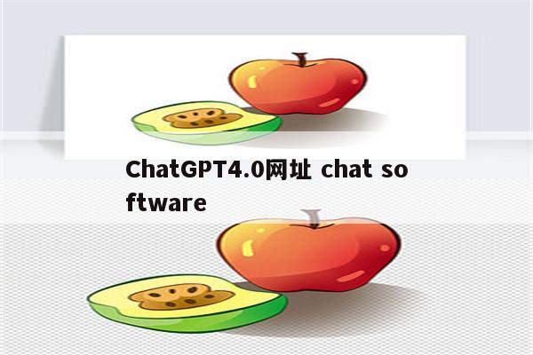 ChatGPT4.0网址 chat software